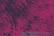 Steamboat Switzerland Extended / Mark Kilchenmann: Sederunt Principes (D.B.Waves, 2013)